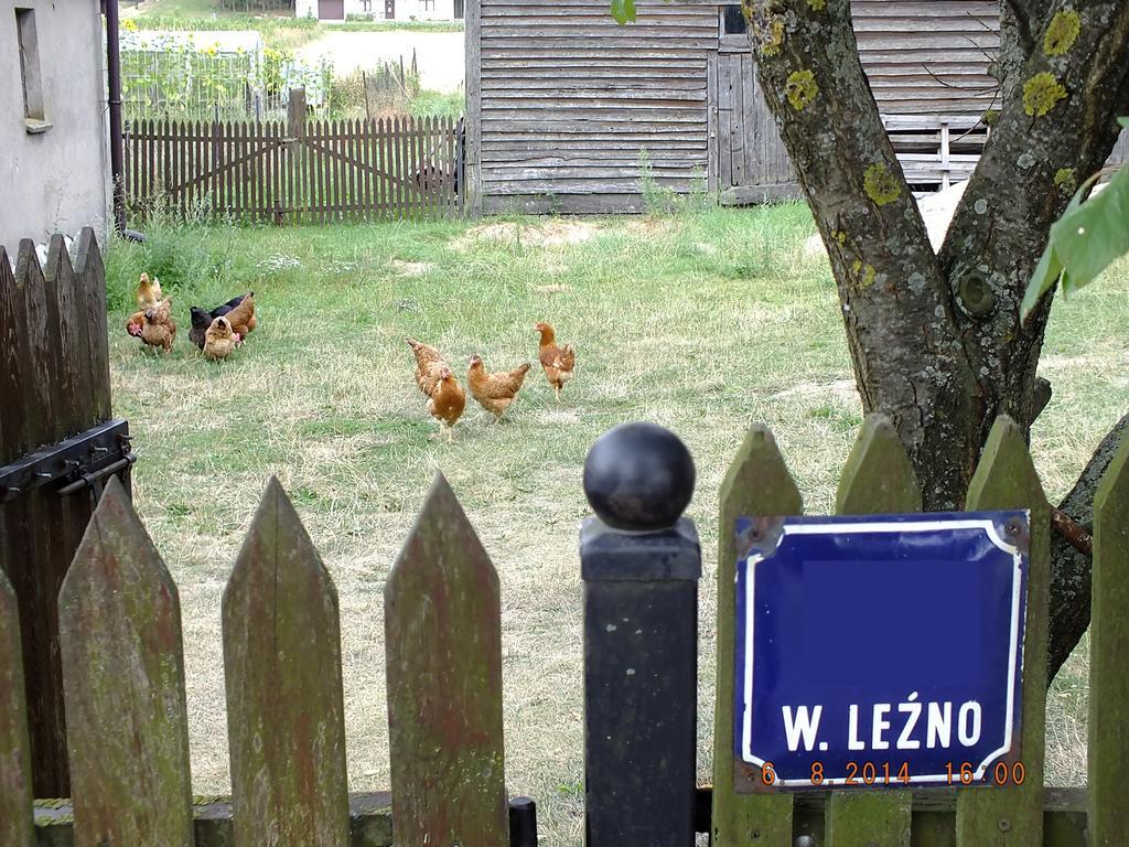 Agroturystyka Wielkie Lezno 외부 사진